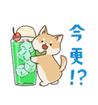 食いしん坊柴犬（個別スタンプ：37）