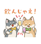 食いしん坊柴犬（個別スタンプ：38）