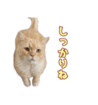 ももなつまみ22（個別スタンプ：2）