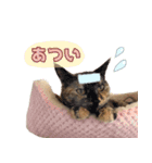 ももなつまみ22（個別スタンプ：4）