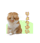ももなつまみ22（個別スタンプ：7）