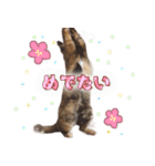 ももなつまみ22（個別スタンプ：10）