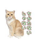 ももなつまみ22（個別スタンプ：12）