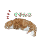 ももなつまみ22（個別スタンプ：13）