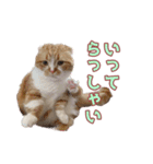 ももなつまみ22（個別スタンプ：15）