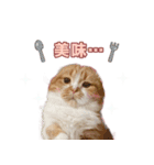 ももなつまみ22（個別スタンプ：17）