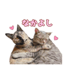 ももなつまみ22（個別スタンプ：20）