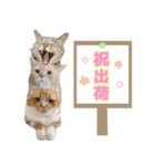 ももなつまみ22（個別スタンプ：24）