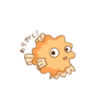 ちっこ可愛いコンペイトウ【珍しいお魚】（個別スタンプ：13）