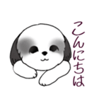 Stickers_Shih Tzu_i シーズースタンプ白黒（個別スタンプ：2）
