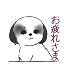 Stickers_Shih Tzu_i シーズースタンプ白黒（個別スタンプ：3）