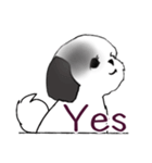 Stickers_Shih Tzu_i シーズースタンプ白黒（個別スタンプ：5）