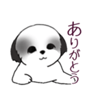Stickers_Shih Tzu_i シーズースタンプ白黒（個別スタンプ：13）