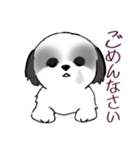 Stickers_Shih Tzu_i シーズースタンプ白黒（個別スタンプ：14）