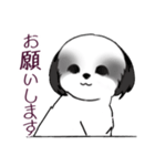 Stickers_Shih Tzu_i シーズースタンプ白黒（個別スタンプ：15）