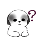 Stickers_Shih Tzu_i シーズースタンプ白黒（個別スタンプ：17）