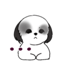 Stickers_Shih Tzu_i シーズースタンプ白黒（個別スタンプ：18）