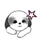 Stickers_Shih Tzu_i シーズースタンプ白黒（個別スタンプ：27）