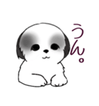 Stickers_Shih Tzu_i シーズースタンプ白黒（個別スタンプ：30）