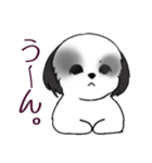 Stickers_Shih Tzu_i シーズースタンプ白黒（個別スタンプ：35）