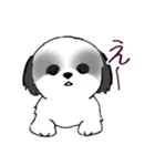 Stickers_Shih Tzu_i シーズースタンプ白黒（個別スタンプ：36）