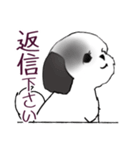 Stickers_Shih Tzu_i シーズースタンプ白黒（個別スタンプ：37）