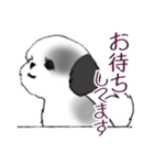 Stickers_Shih Tzu_i シーズースタンプ白黒（個別スタンプ：38）