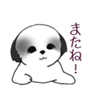 Stickers_Shih Tzu_i シーズースタンプ白黒（個別スタンプ：39）