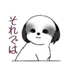 Stickers_Shih Tzu_i シーズースタンプ白黒（個別スタンプ：40）