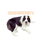ボーダーズの日常（個別スタンプ：6）