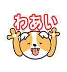 まったり犬のゆる～い会話（個別スタンプ：19）