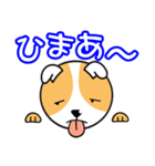 まったり犬のゆる～い会話（個別スタンプ：34）