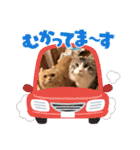 Nana＆June2（個別スタンプ：20）