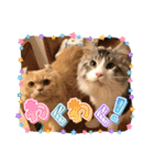Nana＆June2（個別スタンプ：21）