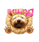 ヨークシャーテリア犬のかわいいスタンプ（個別スタンプ：7）