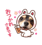 Kojiromaru＆Jubee6（個別スタンプ：1）