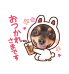 Kojiromaru＆Jubee6（個別スタンプ：2）