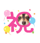Kojiromaru＆Jubee6（個別スタンプ：7）