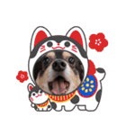 Kojiromaru＆Jubee6（個別スタンプ：14）