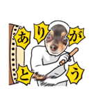 Kojiromaru＆Jubee6（個別スタンプ：15）