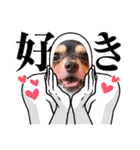 Kojiromaru＆Jubee6（個別スタンプ：17）
