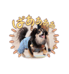 Kojiromaru＆Jubee6（個別スタンプ：23）