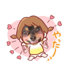 Kojiromaru＆Jubee6（個別スタンプ：36）