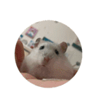ちゃろろろろろ（個別スタンプ：1）
