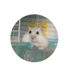 ちゃろろろろろ（個別スタンプ：19）