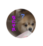 ガルルなな③（個別スタンプ：4）