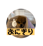 ガルルなな③（個別スタンプ：7）