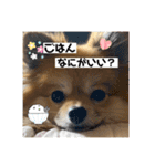 ガルルなな③（個別スタンプ：10）