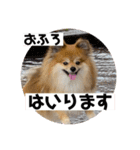 ガルルなな③（個別スタンプ：12）