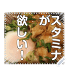 【焼肉】温玉スタミナ丼☆豚バラにんにく（個別スタンプ：2）